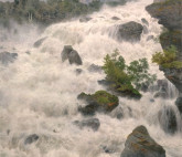 Выставка акварели Сергея Андрияки