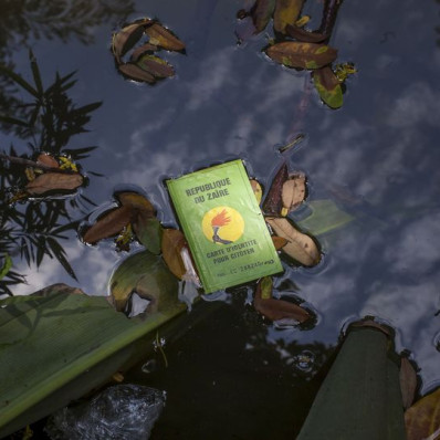 Выставка «Congo Photo Album»