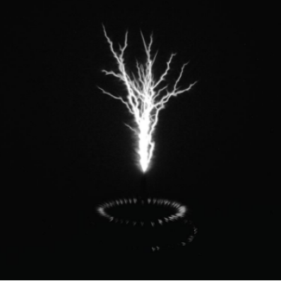 Выставка Дарьи Правды «Видимым о невидимом»