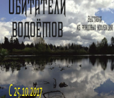 Выставка из фондовой коллекции «Обитатели водоёмов»