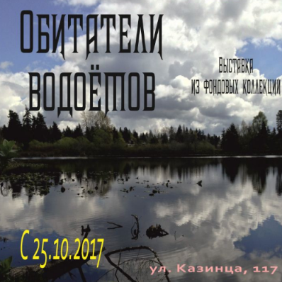 Выставка из фондовой коллекции «Обитатели водоёмов»