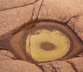 Выставка Отделения новейших художественных течений РАХ «Элементы»