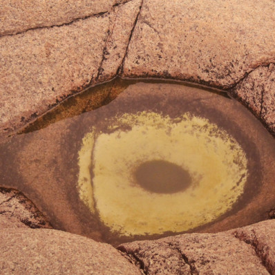 Выставка Отделения новейших художественных течений РАХ «Элементы»