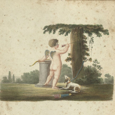 Выставка «Стрелы Амура»