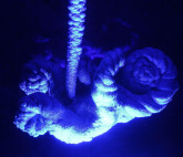 Выставка Йоханны ван Овермейер и Дениса Патракеева «Family»