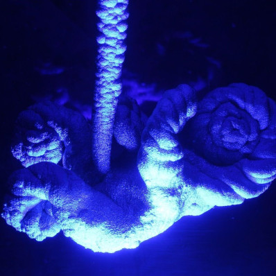 Выставка Йоханны ван Овермейер и Дениса Патракеева «Family»