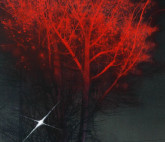 Выставка южнокорейского художника Гёнсу Ана «Eine kleine Nacht. Ночь коротка»