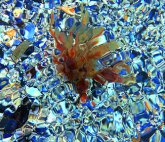 Выставка «Здесь больше нет воды»