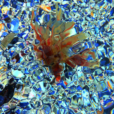 Выставка «Здесь больше нет воды»