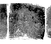 Егор Рогалёв, Евгения Суслова. Icons