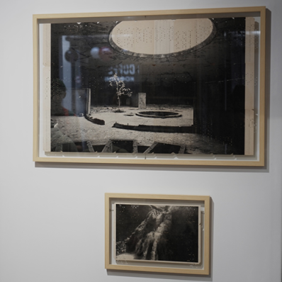 Летняя смена — экспресс-выставки в ФотоДепартаменте