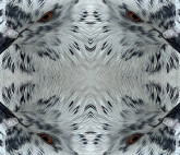 Выставка «Неравнодушная природа»