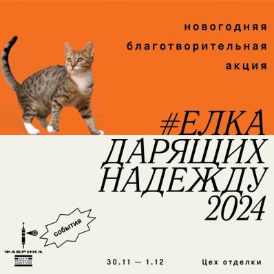 Новогодняя благотворительная акция «Ёлка дарящих надежду — 2024»