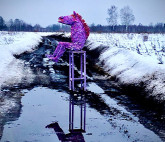 Выставка Андрея Митенева «Операция»