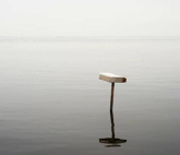 Выставка «Хроника места»