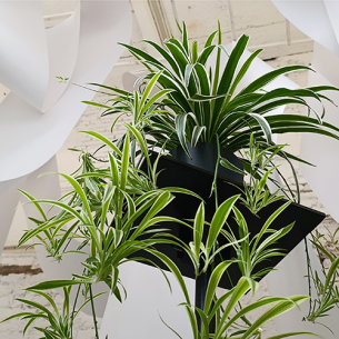 Персональная выставка Вики Малки «Просто лист»