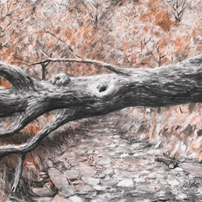 Выставка Алексея Каллимы «Почтальон, под которым обрушился мост»