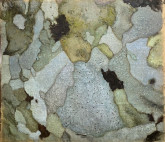 Дни минувшего будущего