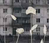 Выставка Анны Бёрч «Сажа бела»