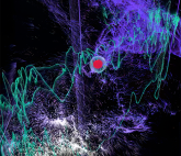 Выставка «где я?/ система координат»